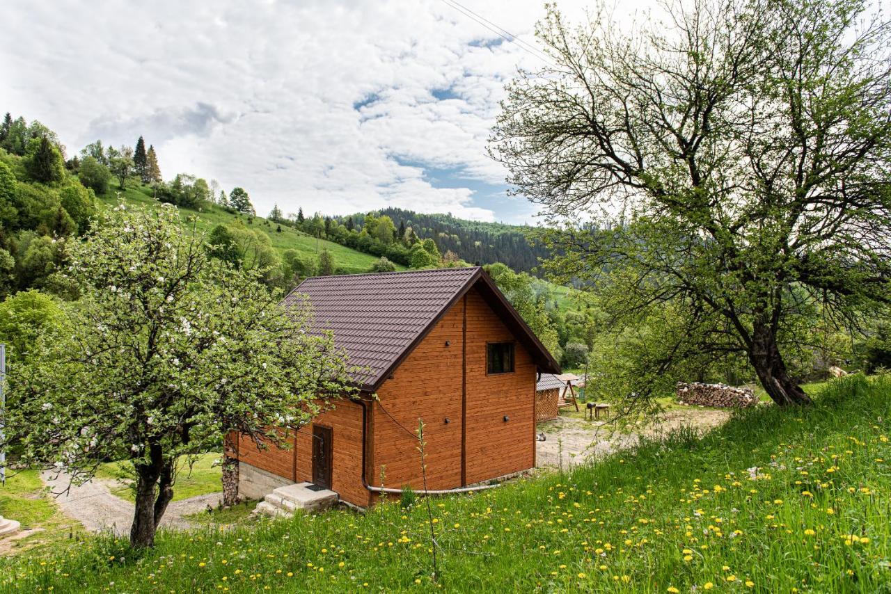 Villa Grace Oryavchyk Buitenkant foto